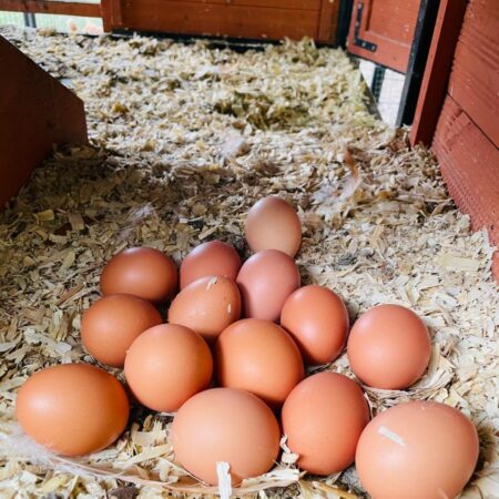 Pasture-raised Eggs